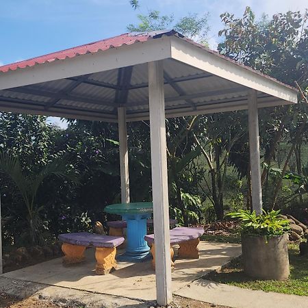 Cabinas El Pilon Rio Celeste Екстериор снимка