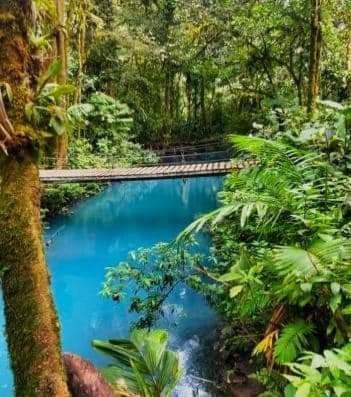 Cabinas El Pilon Rio Celeste Екстериор снимка
